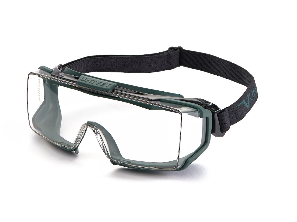 Gafa UNIVET 5X2.03.06.00 Advanced google clear